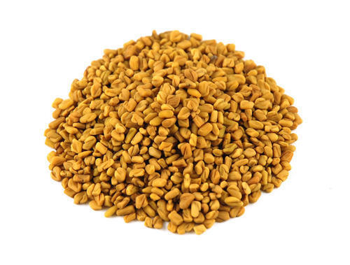 Highly Nutritional Beneficial In Reducing Cholesterol Organic Fenugreek Seed