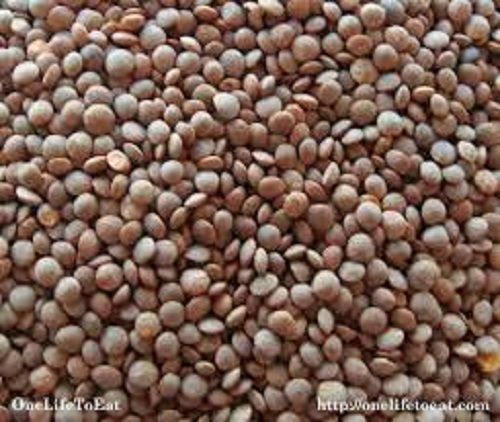 Black Impurity Free Round Shape Indian Organic Masoor Dal