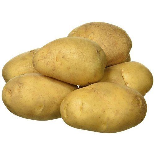 Naturally Grown Healthy Rich In Nutrients And Proteins Brown Fresh Potatoes