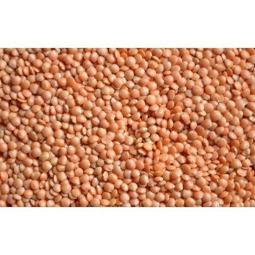 100% Pure Organic And Healthy Gluten Free High Quality Akka Masoor Dal