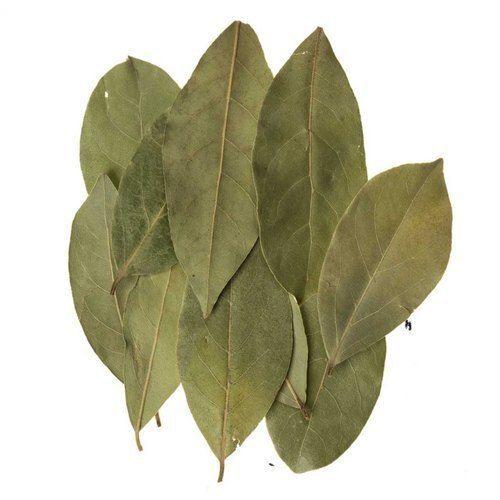 Grade A Indian Origin Naturally Grown Rich Antioxidants And Vitamins Enriched Dry Bay Leaf