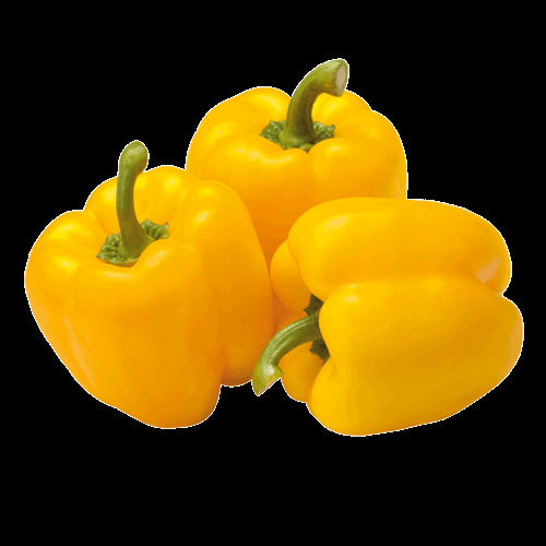 Round Healthy Farm Fresh Indian Origin Naturally Grown Vitamins Rich 100% Pure Yellow Capsicums