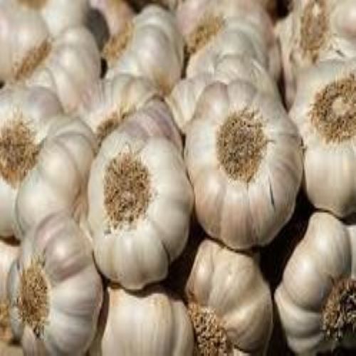 Highly Nutritious Rich Antioxidants Less Calorie Flavored Raw Garlic For Cooking