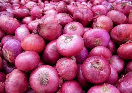 Stronger And Sweeter Aroma Pungent Flavor And A Mouthwatering Appearance Red Raw Onion
