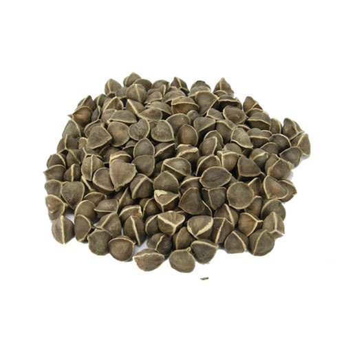 100% Pure A Grade Natural Brown Round Dried Moringa Seeds - 2-Year Shelf Life, High in Antioxidants and Dietary Fiber, Supports Skin Health and Cognitive Function