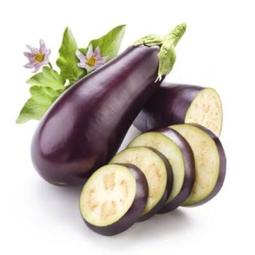Chemical Free Healthy Delicious Natural Rich Fine Taste Purple Fresh Eggplant