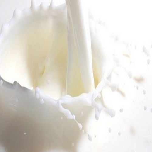 Fresh Healthy Pure Natural Full Cream Adulteration Free Original Raw White Cow Milk