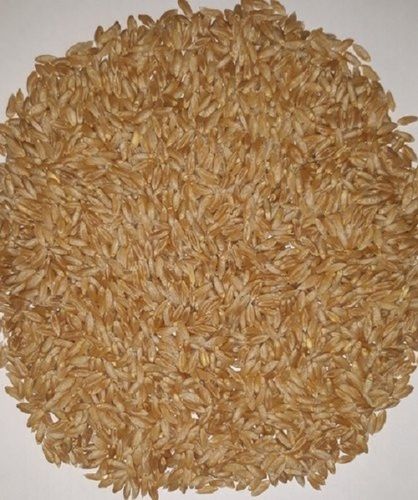 Indian Banseedhar Bhaliya Wheat