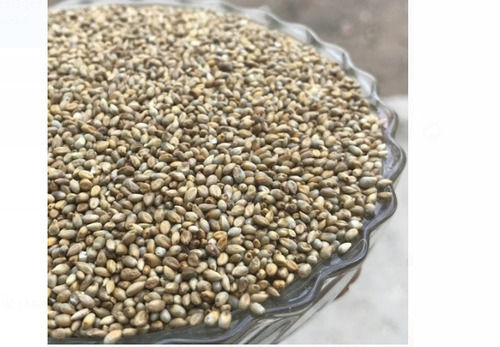 Pack Of 1 Kilogram Food Grade Common Cultivation Brown Pearl Millet 