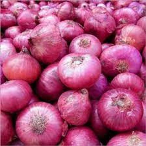 Pesticide Free And Rich In Nutrients Spicy Aroma Taste Raw Fresh Onions