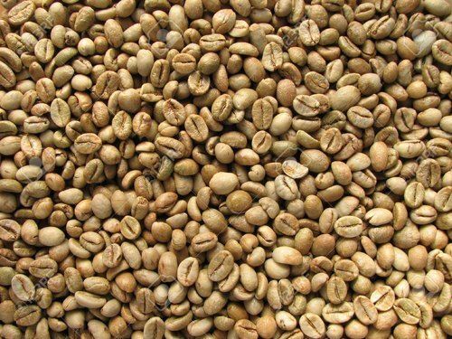 Refreshing Taste Roasted Hygienically Packed Arabica Coffee Beans