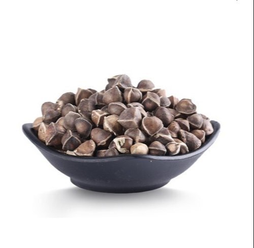 Pure A Grade Natural Brown Round Moringa Seeds - 100% Organic Superfood, Rich in Antioxidants, Essential Vitamins and Minerals for Optimal Health and Wellness