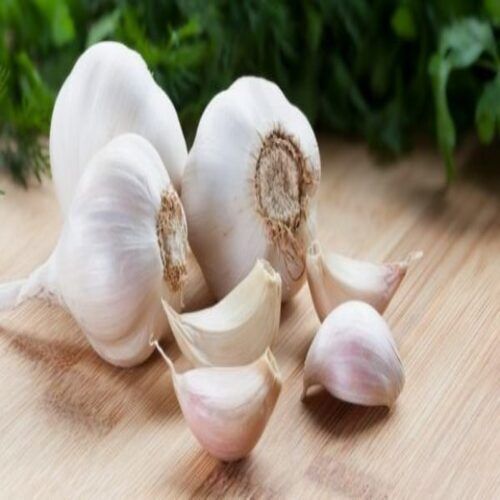 Chemical Free No Artificial Color Natural Rich Taste Healthy White Fresh Garlic