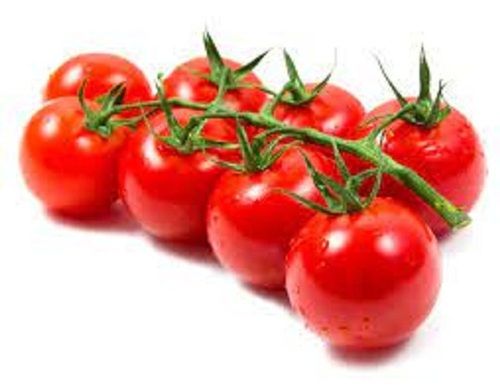 Healthy Farm Fresh Round Shape 95% Moisture Content Raw Red Tomatoes