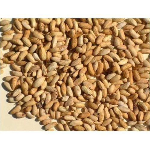 Natural Sun Dried Neem Seeds Used In Agriculture And Medicinal