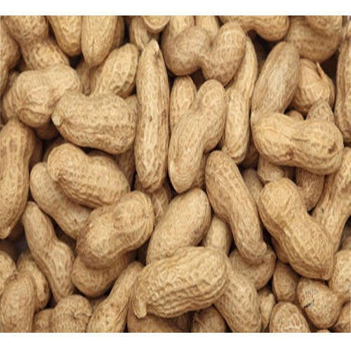 Raw Peanuts - Aflatoxin 5%, Magnesium 42%, Protein 25%, 50Kg Packaging | Fresh Style, Raw Variety, 12 Months Shelf Life