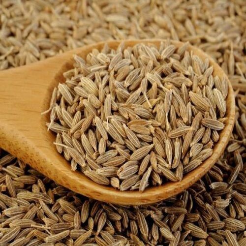 Aromatic Healthy Natural Rich Taste Chemical Free Dried Brown Organic Cumin Seeds