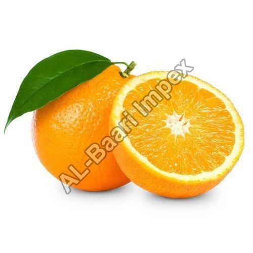 Chemical Free Healthy Juicy Delicious Natural Rich Taste Organic Fresh Orange Origin: India