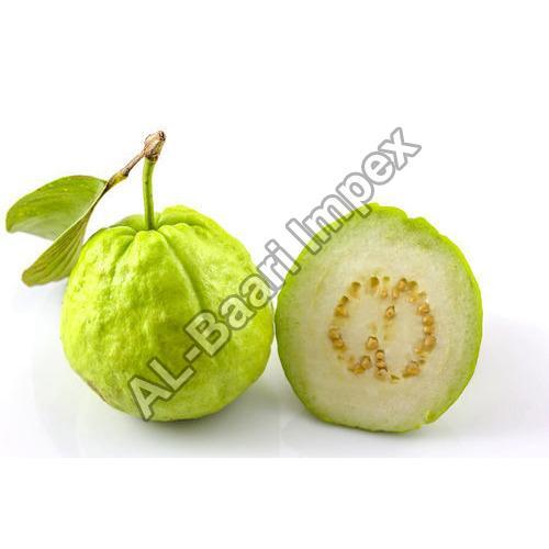 Fine Sweet Delicious Rich Natural Taste Healthy Organic Green Fresh Guava