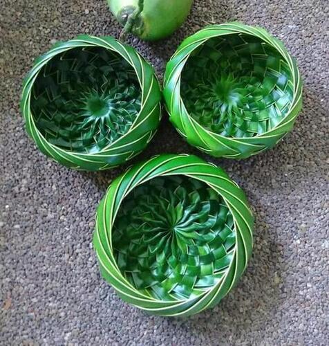 Hand Made Coconut Leaf Flower Pot