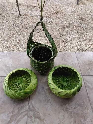 Hand Made Green Coconut Leaf Flower Pot