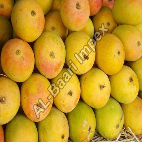 No Artificial Color Sweet Delicious Rich Natural Taste Organic Healthy Yellow Fresh Mango