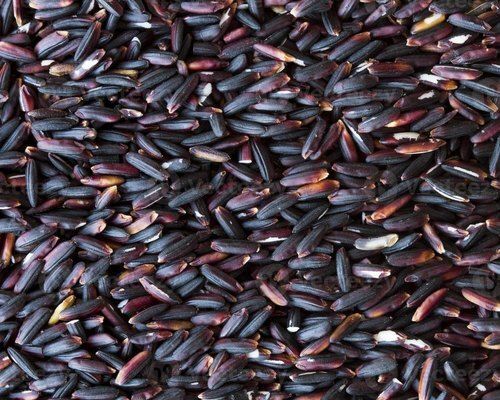  Moisture Containing Medium Grain Dried Black Paddy Rice With Multiple Health Benefits
