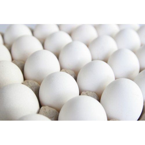 Chicken Origin Oval Shape Medium Size Healthy Fresh Eggs Egg Weight: 50 And 70 G Grams (G)