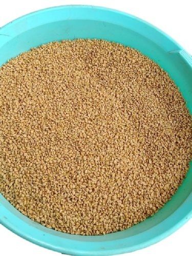 Highly Natural Alfalfa Seeds