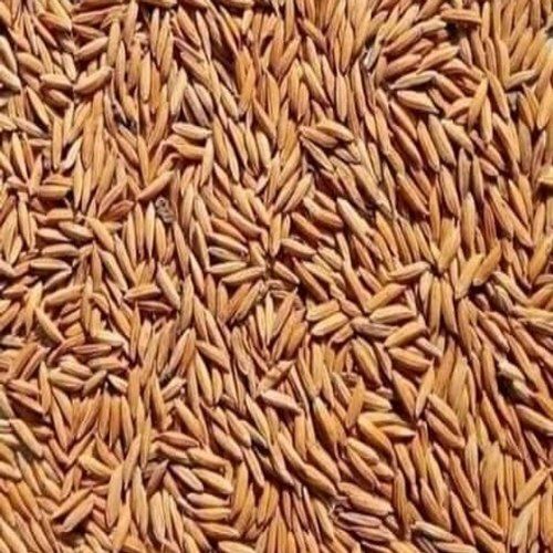 Long Grain High In Protein Naturally Grown Fresh And Well Dried Semi Polished Red Paddy Rice
