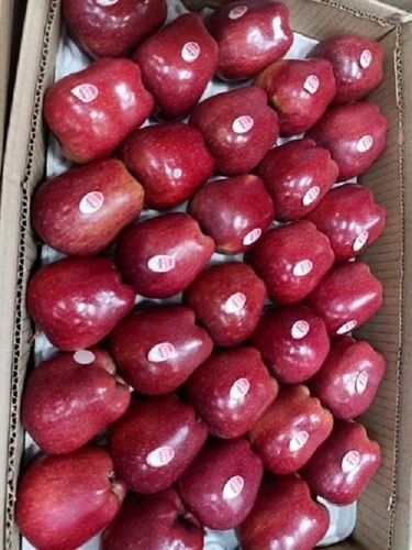 Pack Of 50 Kg Rich In Fiber Tasty And Healthy Kashmiri Fresh Red Apple Fruit