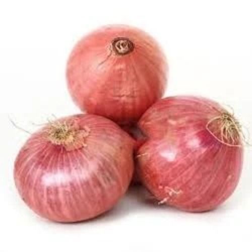 Round 1.1 Gram Protein 50 Kilogram Packaging Size Red Natural Onion 