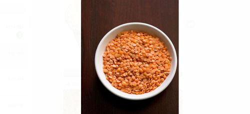 1 Kilogram Packaging Size Red Round High In Protein Natural Masoor Dal  Grade: A