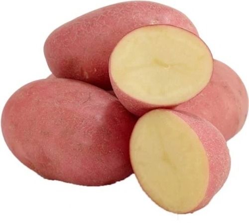 10 Kilogram Packaging Size Round Red Natural Sweet Potatoes 