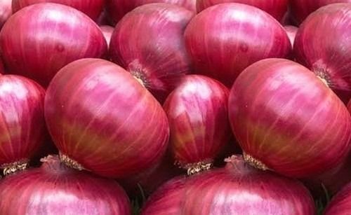 10 % Moisture Dark Pink With Packaging Size 1kg Medium Size Round Fresh Onion