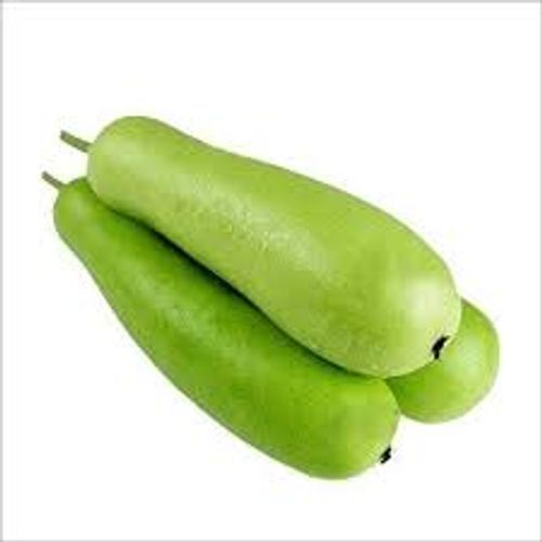 100% Natural And Fresh Bottle Gourd