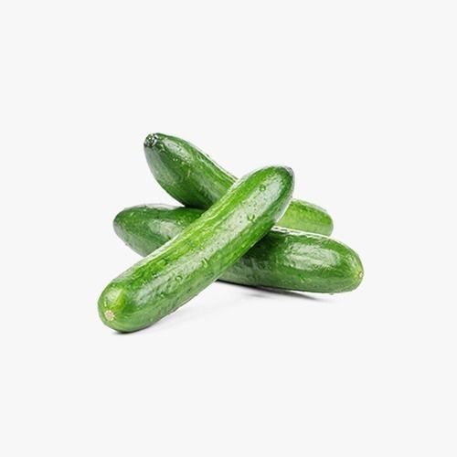 100% Organic And Farm Fresh Indian Origin Naturally Grown Cucumber