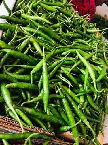 86.6% Moisture Spicy Raw Processing Round Shape Cooked Style Green Chilies