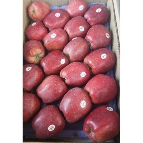Fresh Natural And Good Source Of Vitamins Healthy Red Tasty Fresh Apple