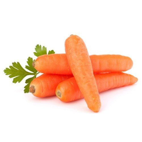 Naturally Grown Vitamins Enriched Farm Fresh Long Orange Carrot