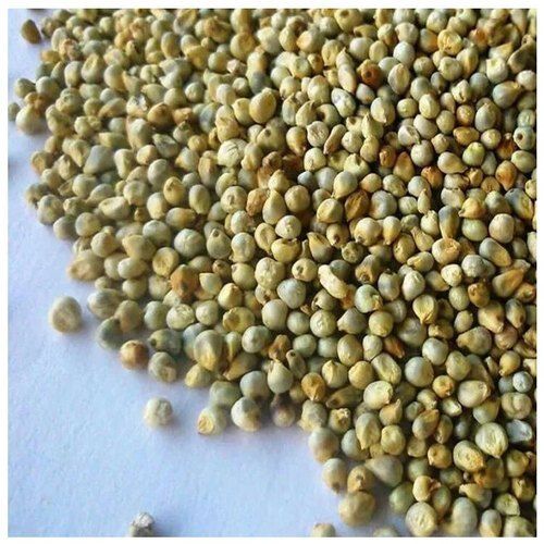 Organic Green Millet