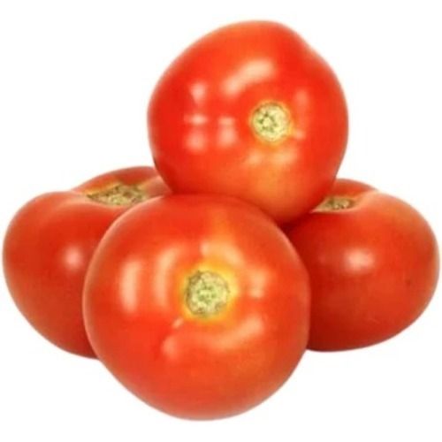 Round Red 20 Kilogram Packaging Size 0.9 Gram Protein 18 Calories Tomato 