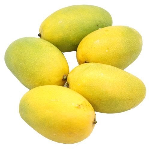 1 Kilogram Sweet And Tasty Medium Size A Grade Fresh Yellow Mango