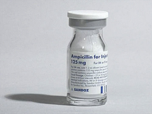 Liquid Ampicillin For Injection