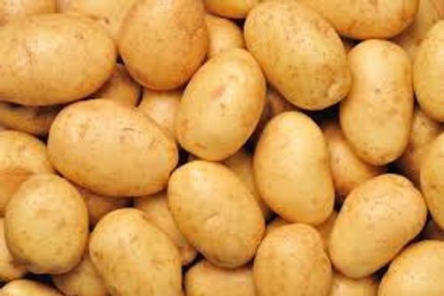 Rich In Nutrients High Dietary Fiber Great Tasty And Fresh Round Potatoes