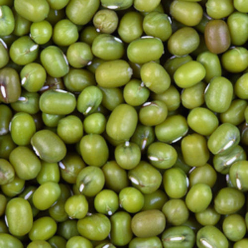 Easy to Cook Rich in Protein Natural Taste Dried Green Whole Moong Beans