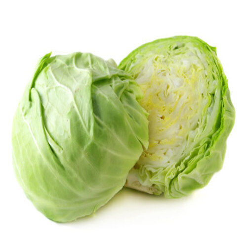 Round & Oval Floury Texture Healthy Rich Natural Fine Taste Green Fresh Cabbage