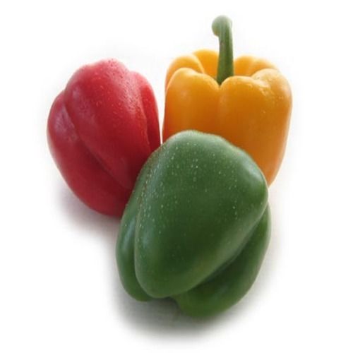 Natural Fine Rich Taste High Fiber Chemical Free Healthy Fresh Capsicum