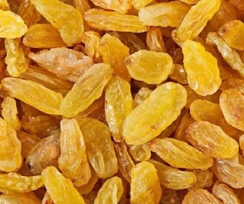 A Grade Nutrient Enriched Healthy 100% Pure Sweet Dried Golden Raisin