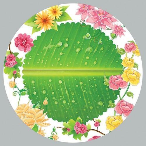 Environment Friendly Recyclable With Printed Easy To Use Disposable Paper Plate